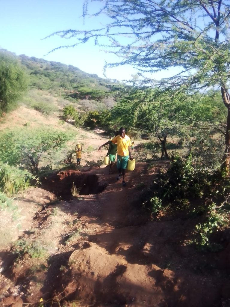 WhatsApp Image 2025-07-03 at 1.27