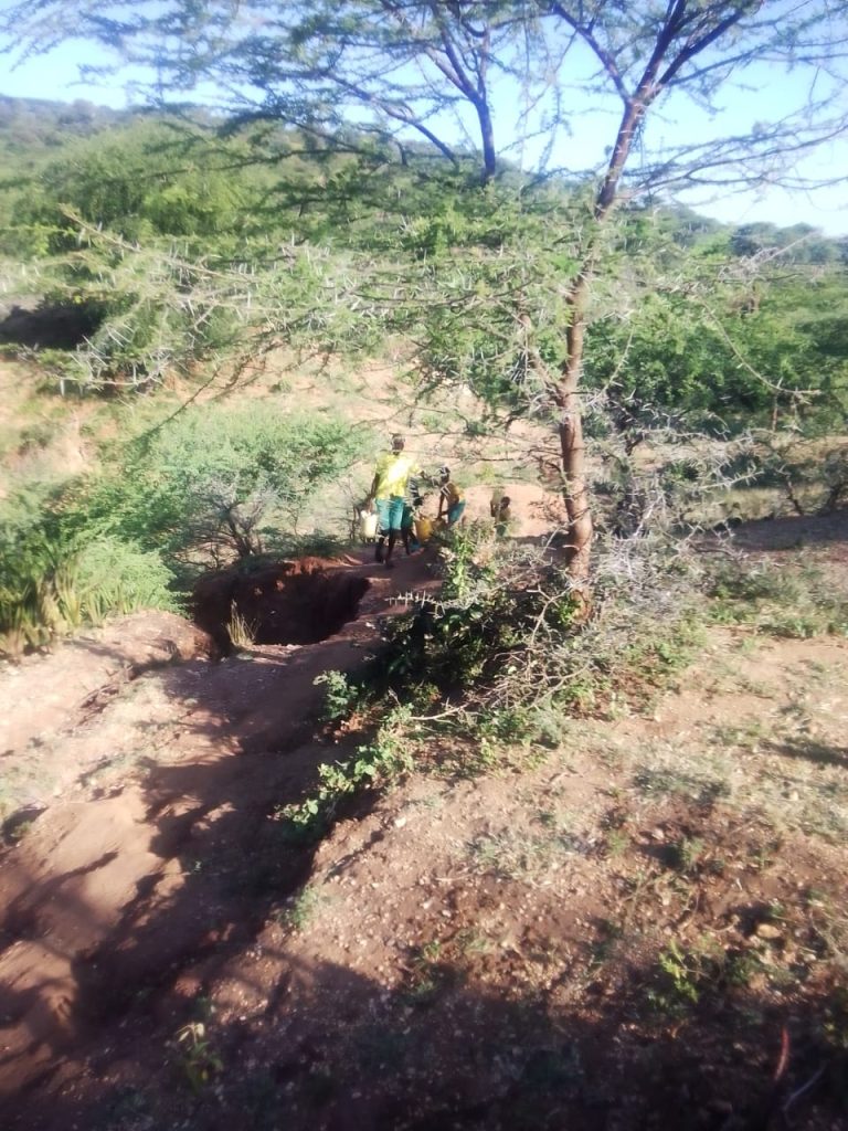 WhatsApp Image 2025-07-03 at 1.27