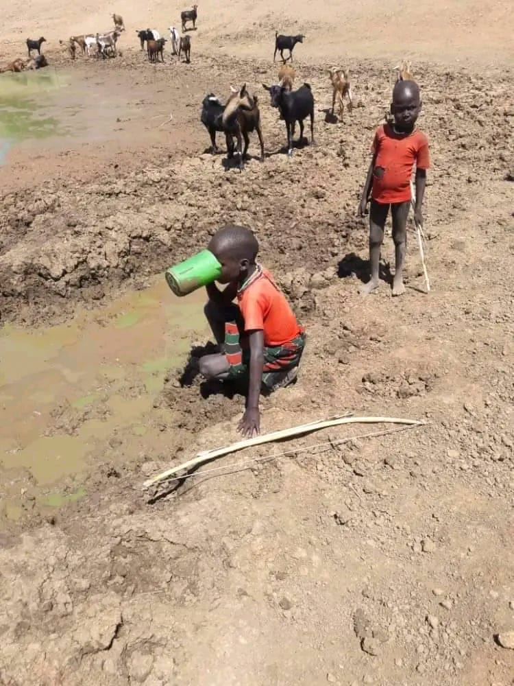 WhatsApp Image 2025-07-03 at 1.28