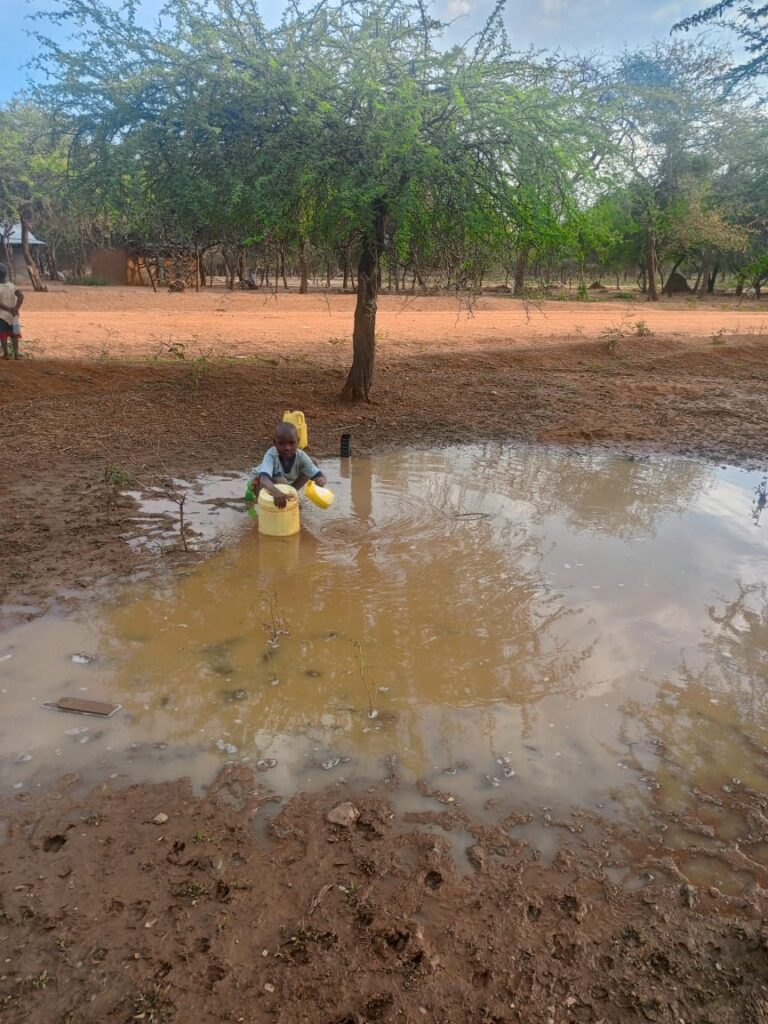 WhatsApp Image 2025-07-06 at 10.56