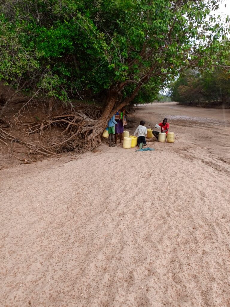 WhatsApp Image 2025-07-06 at 10.56