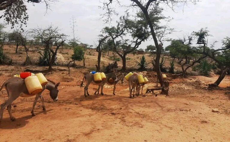 WhatsApp Image 2025-07-06 at 10.56