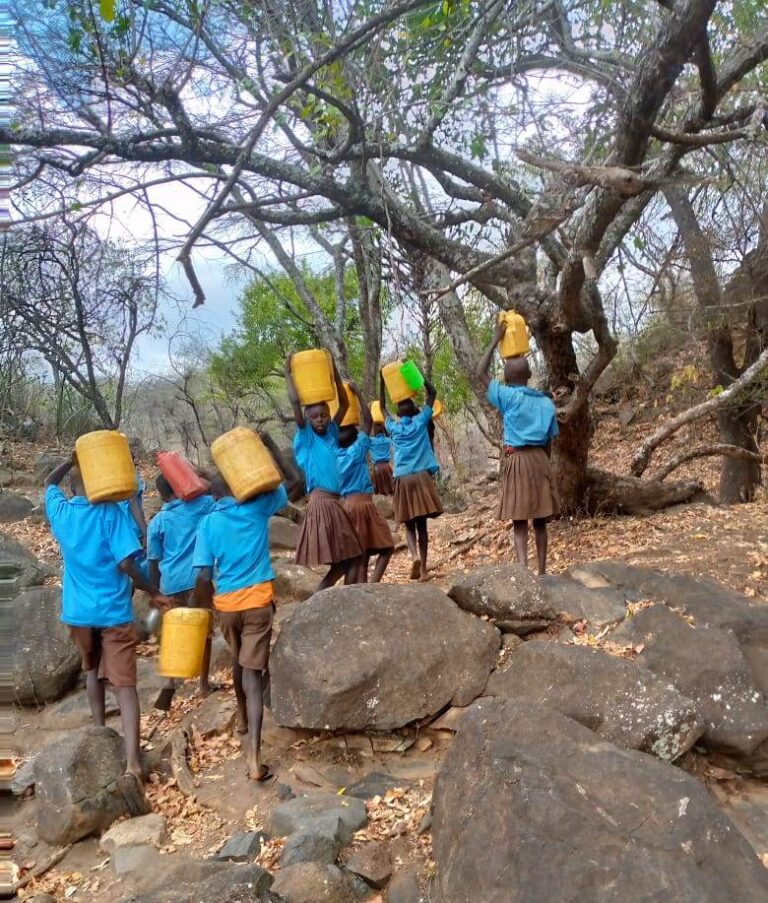 WhatsApp Image 2025-07-06 at 10.56