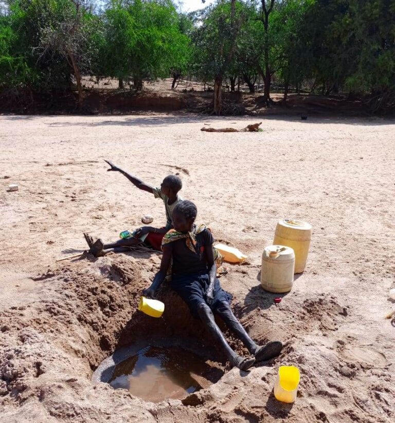 WhatsApp Image 2025-07-06 at 10.56