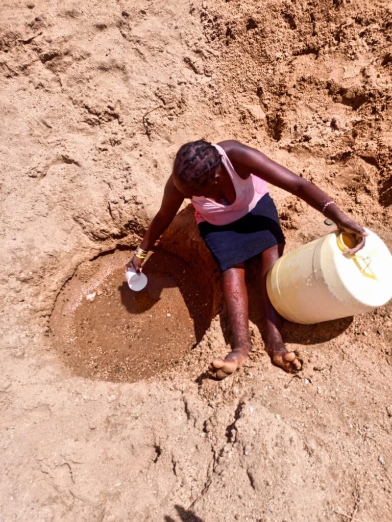 WhatsApp Image 2025-07-06 at 10.56