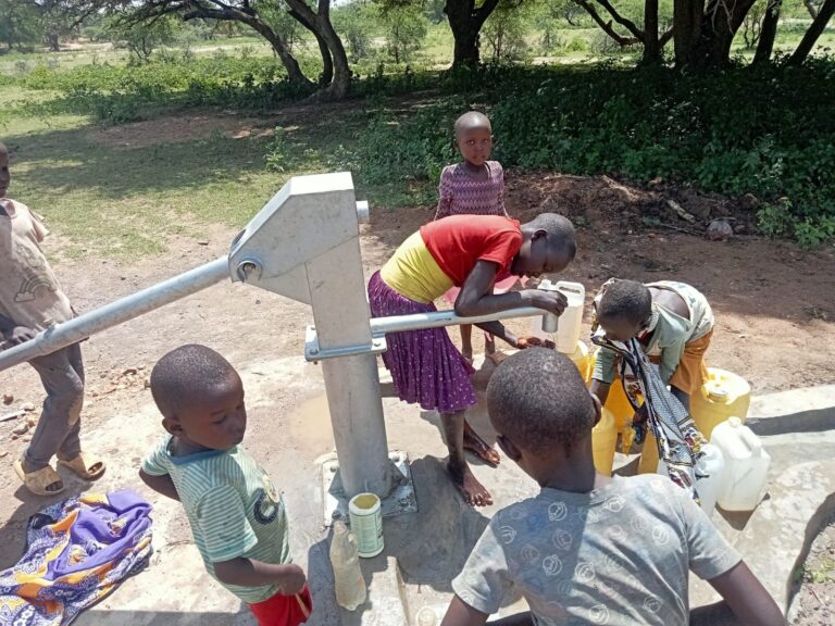 WhatsApp Image 2025-07-06 at 10.56