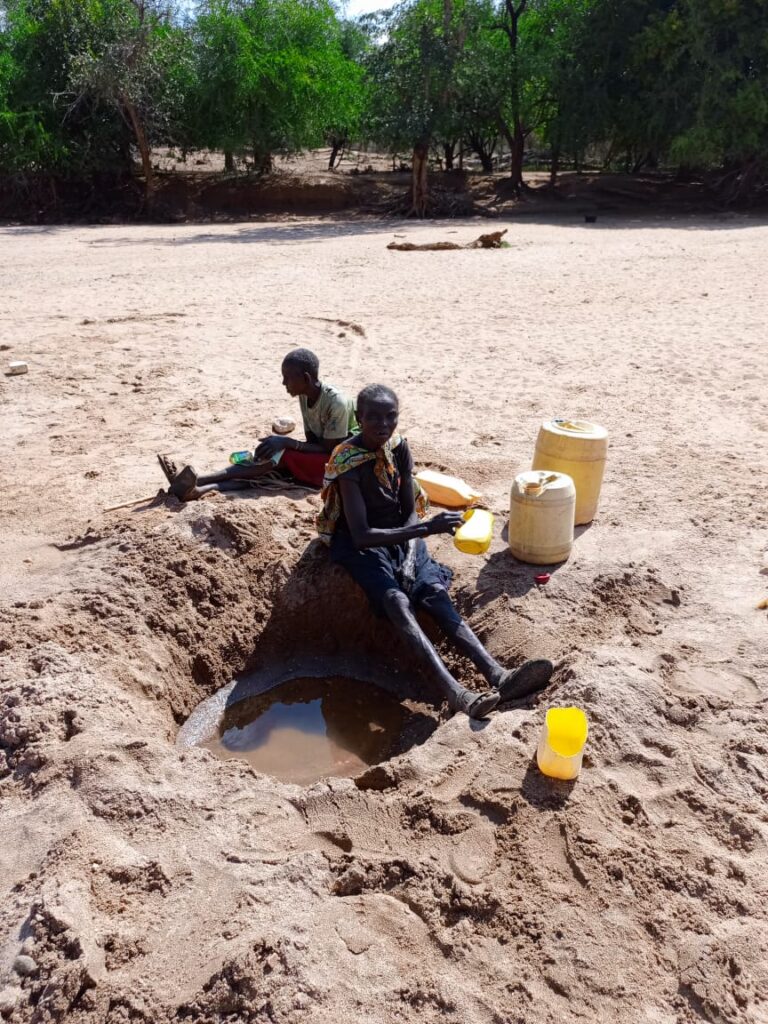 WhatsApp Image 2025-07-06 at 10.56