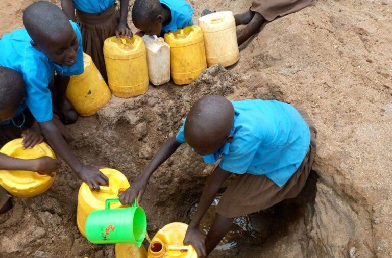 WhatsApp Image 2025-07-06 at 10.57