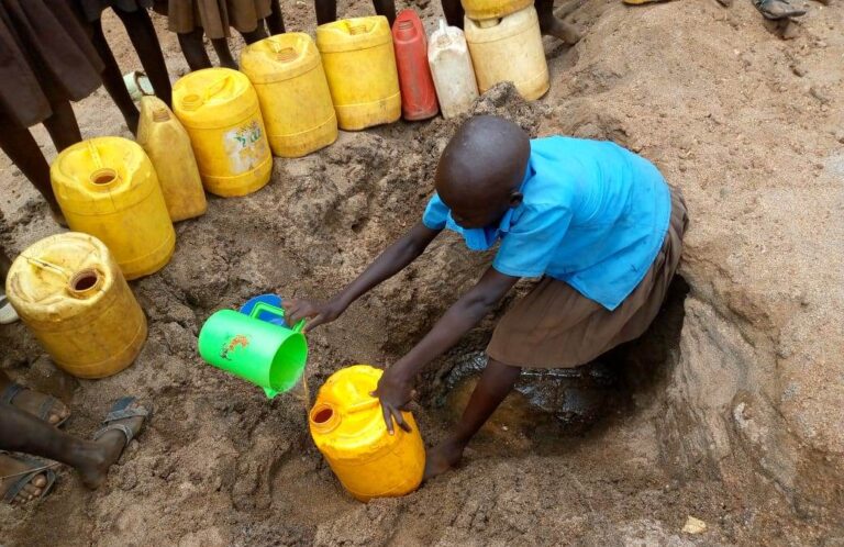 WhatsApp Image 2025-07-06 at 10.57